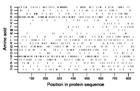 amino acid map