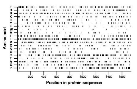 amino acid map