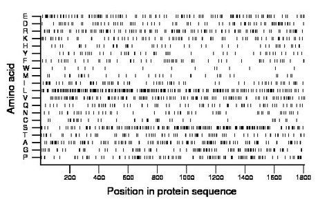 amino acid map