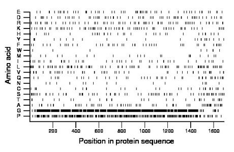 amino acid map