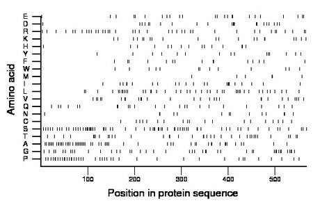 amino acid map