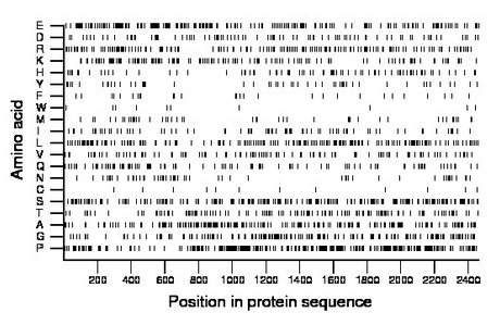 amino acid map