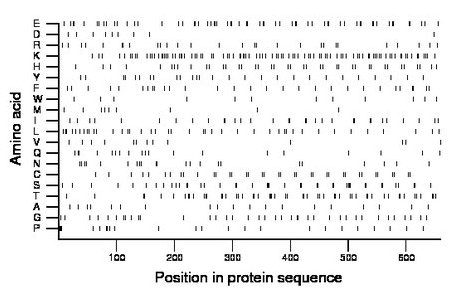 amino acid map