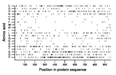 amino acid map