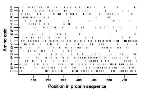 amino acid map