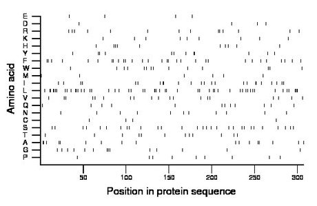 amino acid map