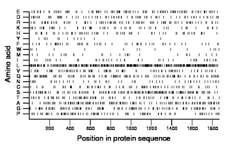 amino acid map