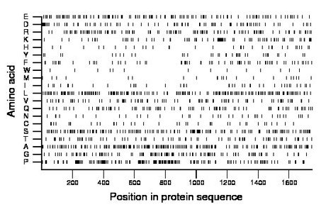 amino acid map