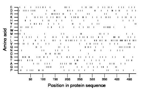 amino acid map