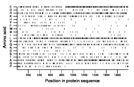 amino acid map