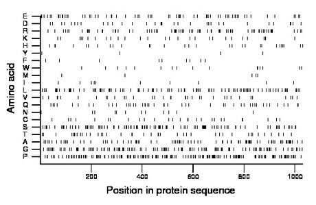 amino acid map