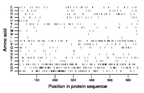 amino acid map