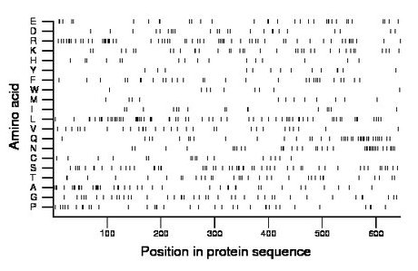 amino acid map