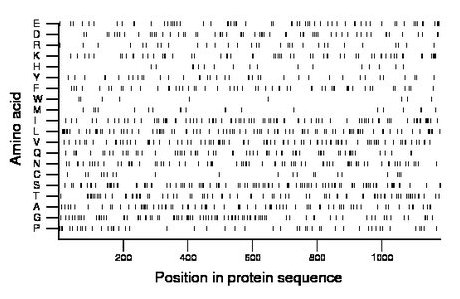 amino acid map