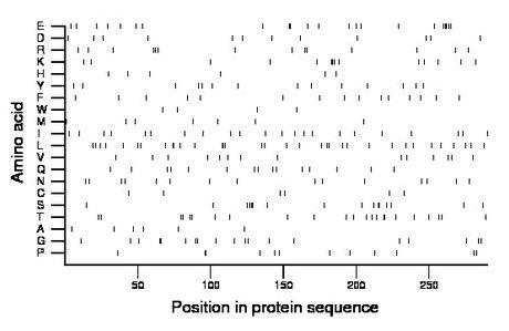 amino acid map