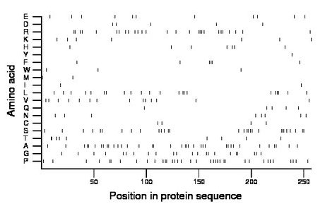 amino acid map