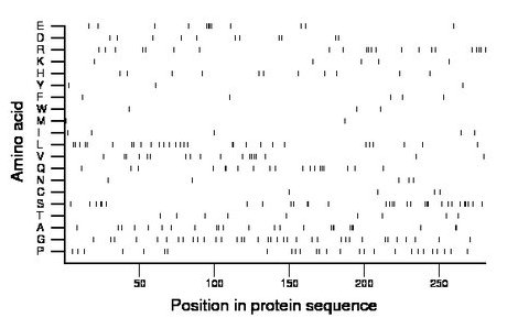 amino acid map