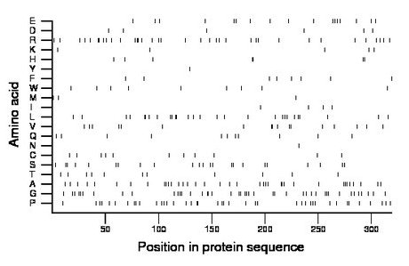 amino acid map