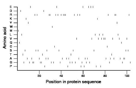 amino acid map