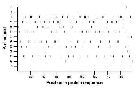 amino acid map