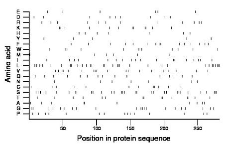 amino acid map