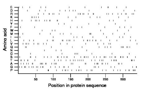 amino acid map