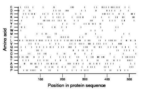 amino acid map