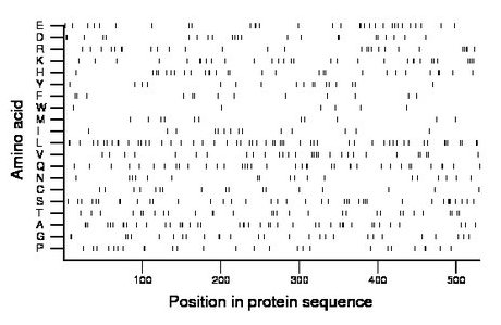 amino acid map