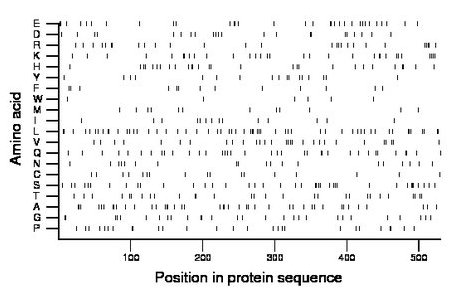 amino acid map