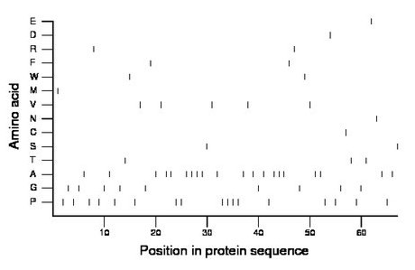 amino acid map