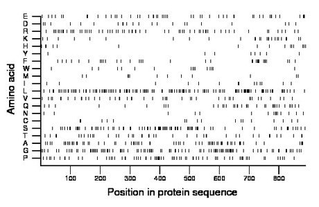 amino acid map