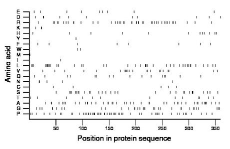 amino acid map