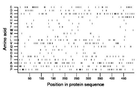 amino acid map