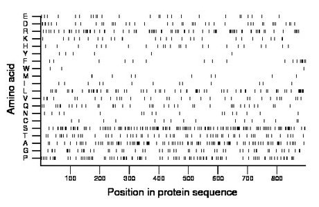 amino acid map