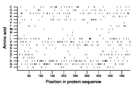 amino acid map