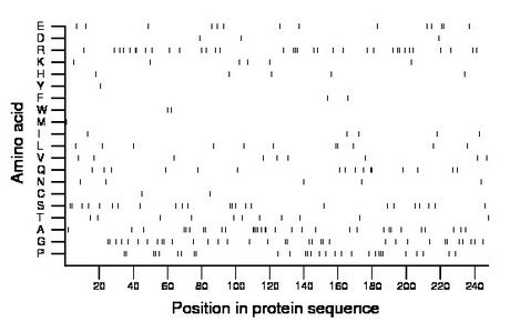 amino acid map