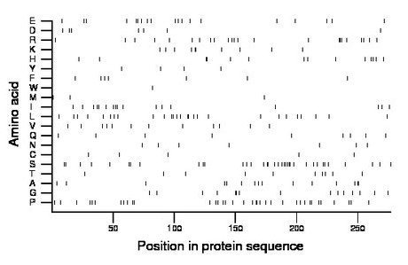 amino acid map