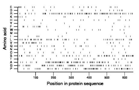 amino acid map