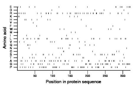 amino acid map