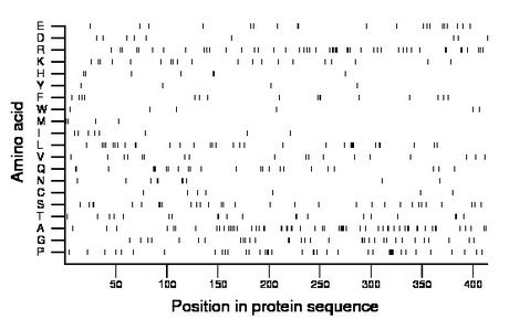 amino acid map