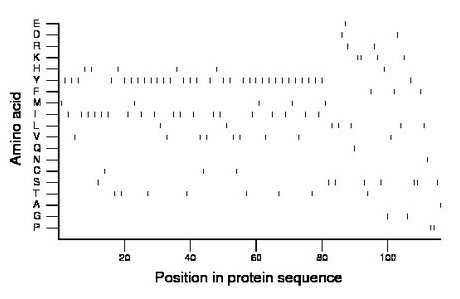 amino acid map