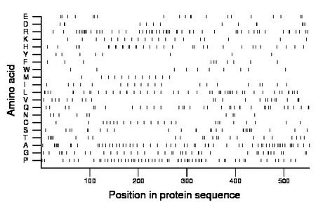 amino acid map