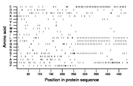 amino acid map