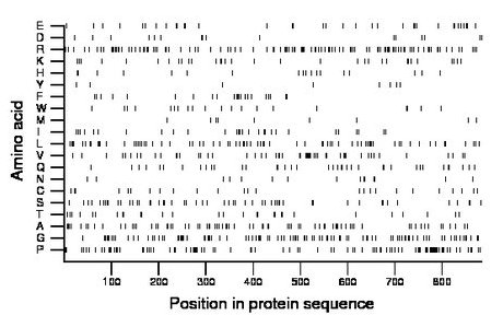 amino acid map