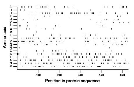 amino acid map