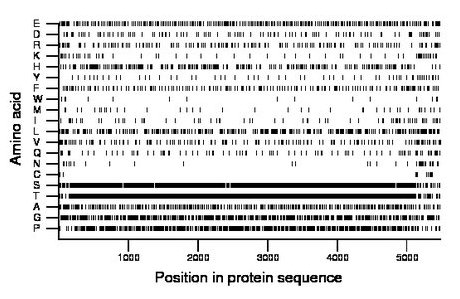 amino acid map