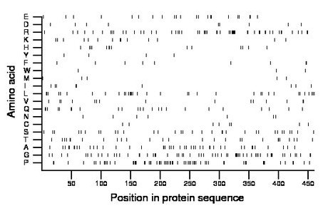 amino acid map