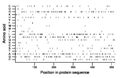 amino acid map