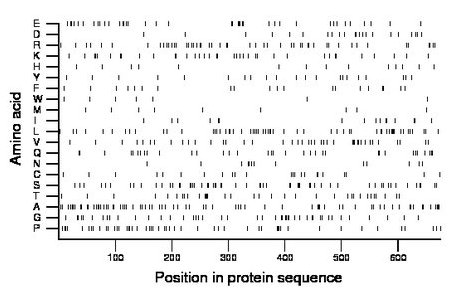 amino acid map