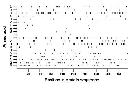 amino acid map